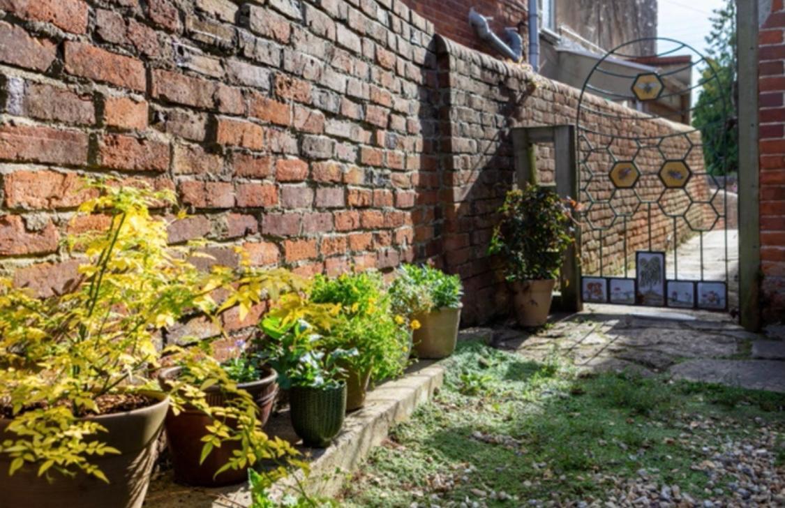 Bridport Garden Suite Zewnętrze zdjęcie