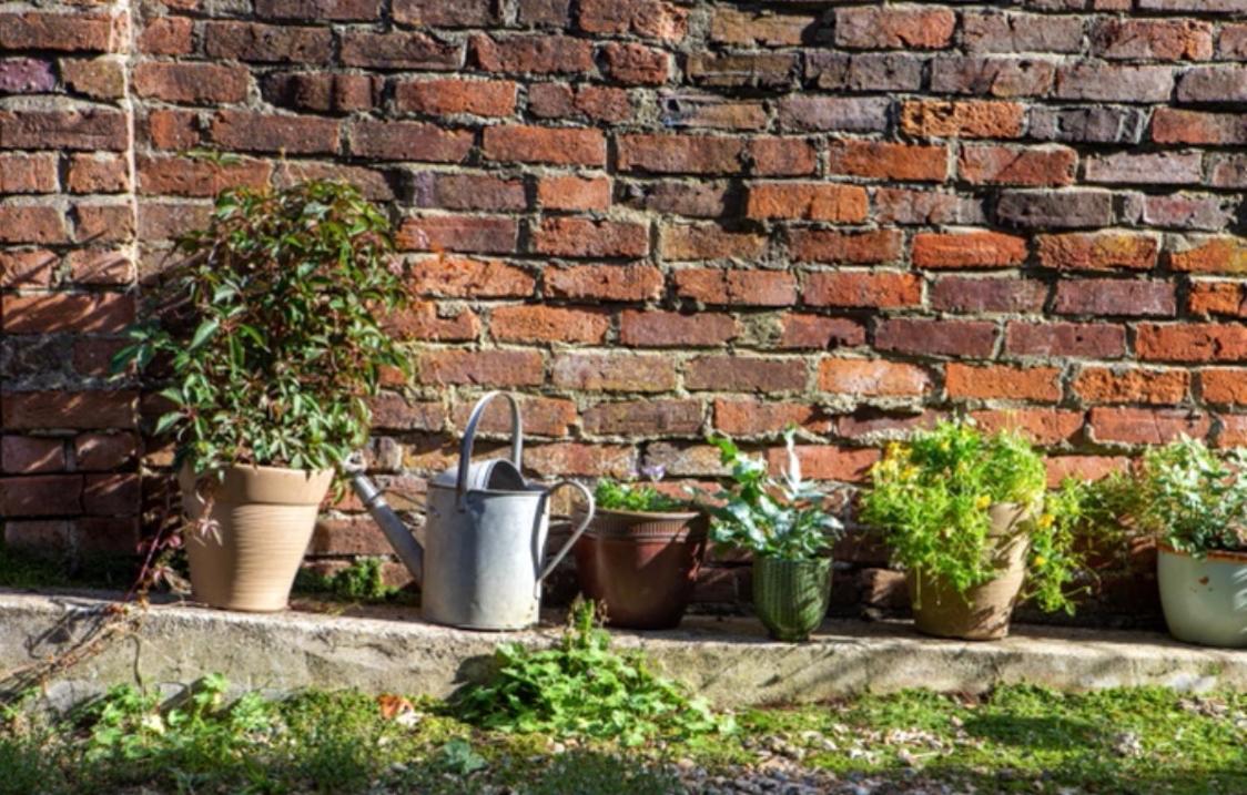 Bridport Garden Suite Zewnętrze zdjęcie