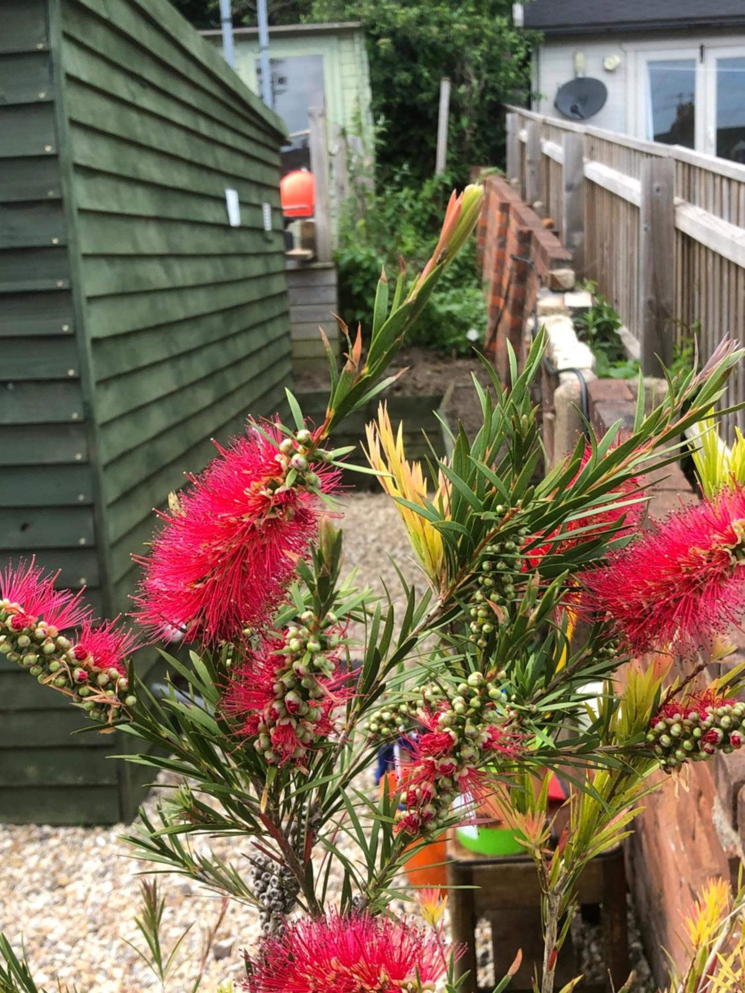 Bridport Garden Suite Zewnętrze zdjęcie