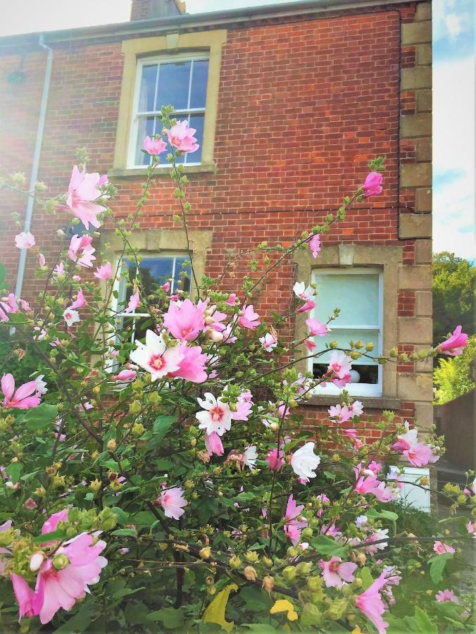 Bridport Garden Suite Zewnętrze zdjęcie